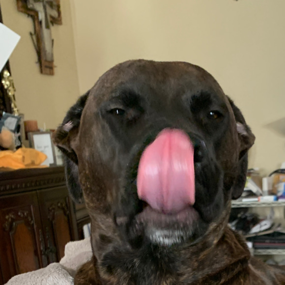 tholmanr